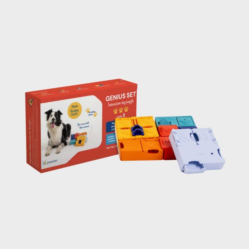 Pawzler Genius Set Mini dog puzzle toy