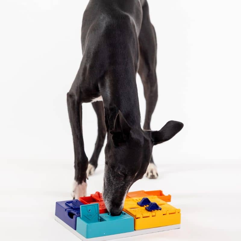 Dog Puzzle Toy - Genius Set Mini